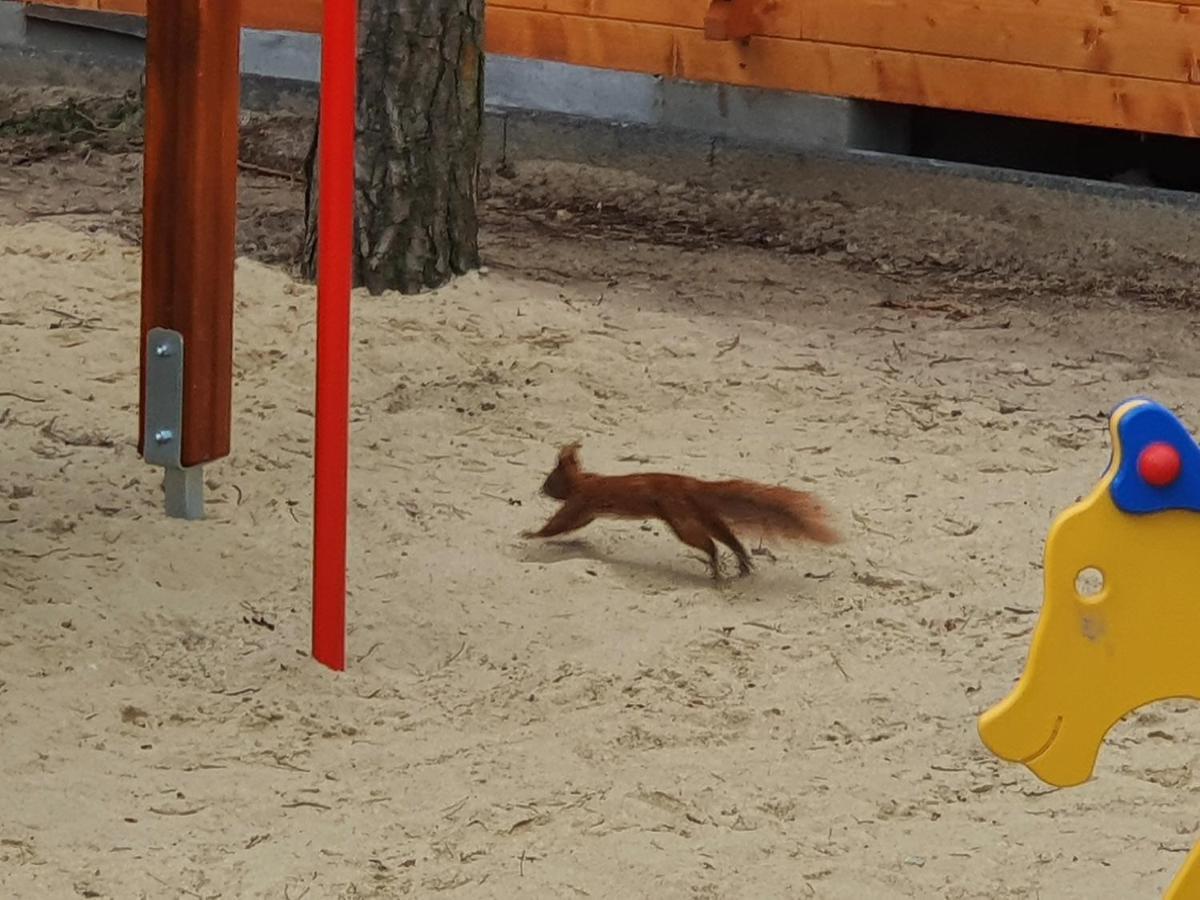 Domki Gromadka Wielen Zaobrzanski Kültér fotó